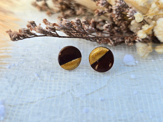 Coconut shell and Resin Earrings