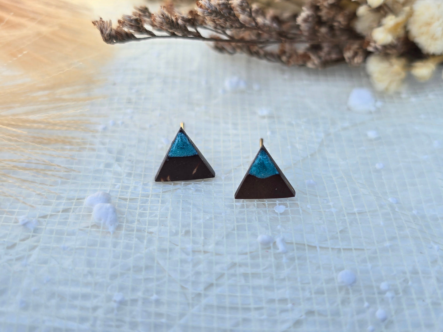 Coconut shell and Resin Earrings