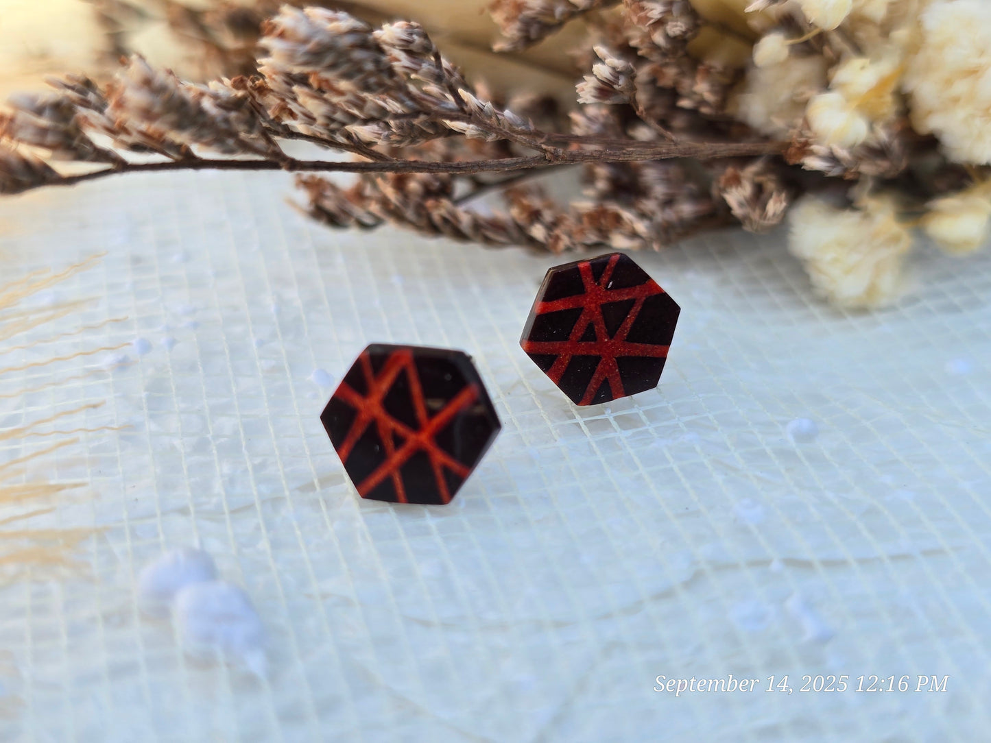 Coconut shell and Resin Earrings