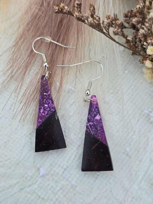 Coconut shell and Resin Earrings