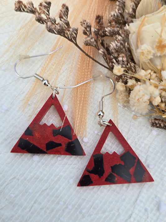 Coconut shell and Resin Earrings