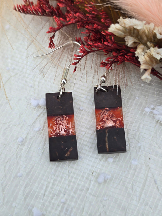 Coconut shell and Resin Earrings
