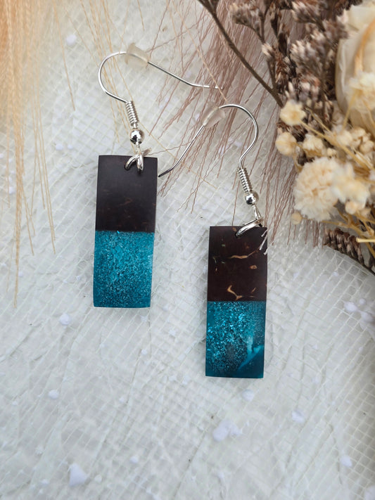 Coconut shell and Resin Earrings