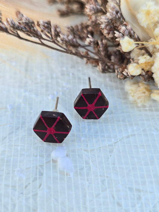 Coconut shell and Resin Earrings