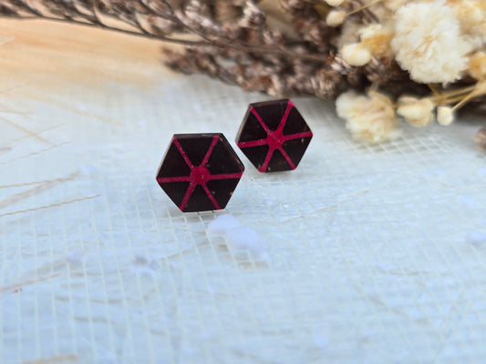 Coconut shell and Resin Earrings
