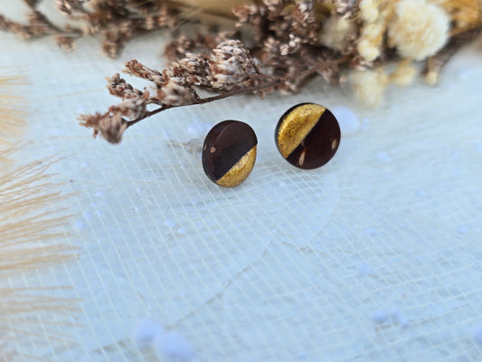 Coconut shell and Resin Earrings