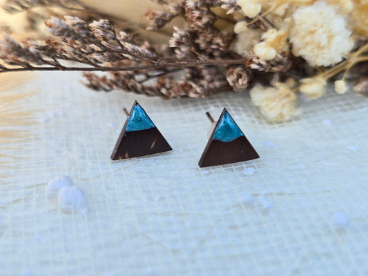 Coconut shell and Resin Earrings