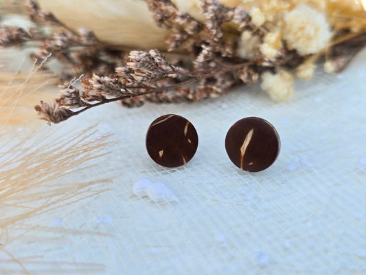 Coconut shell and Resin Earrings