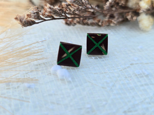 Coconut shell and Resin Earrings