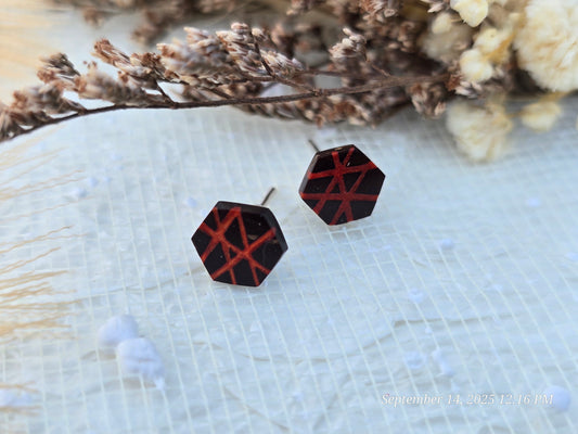 Coconut shell and Resin Earrings