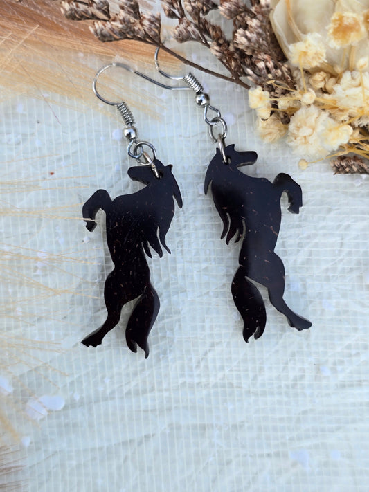 Coconut shell Earrings