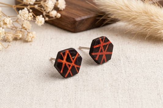Coconut shell and Resin Earrings